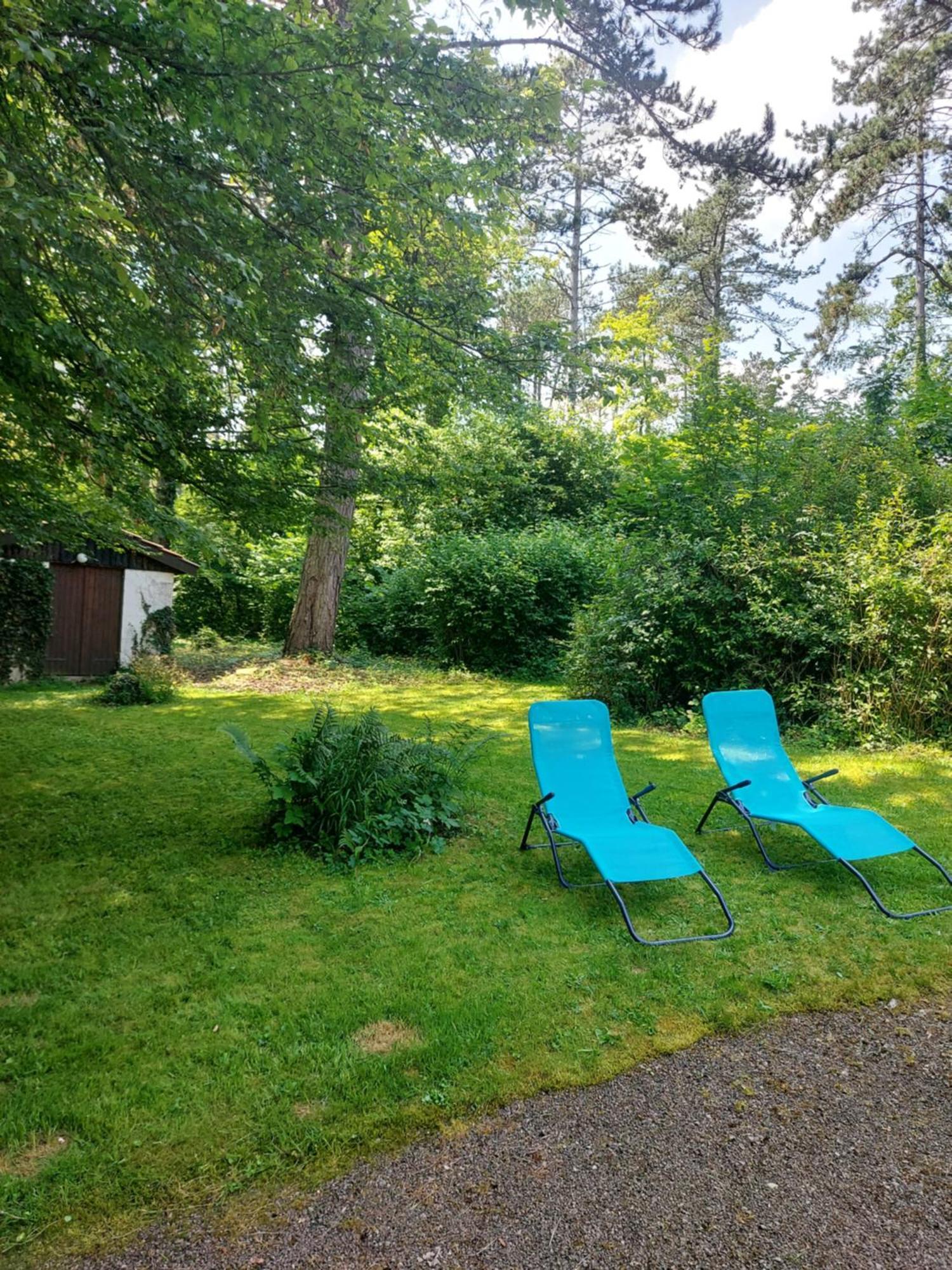 Chalet Des Pins D'Autriche Comblain-Fairon Bagian luar foto